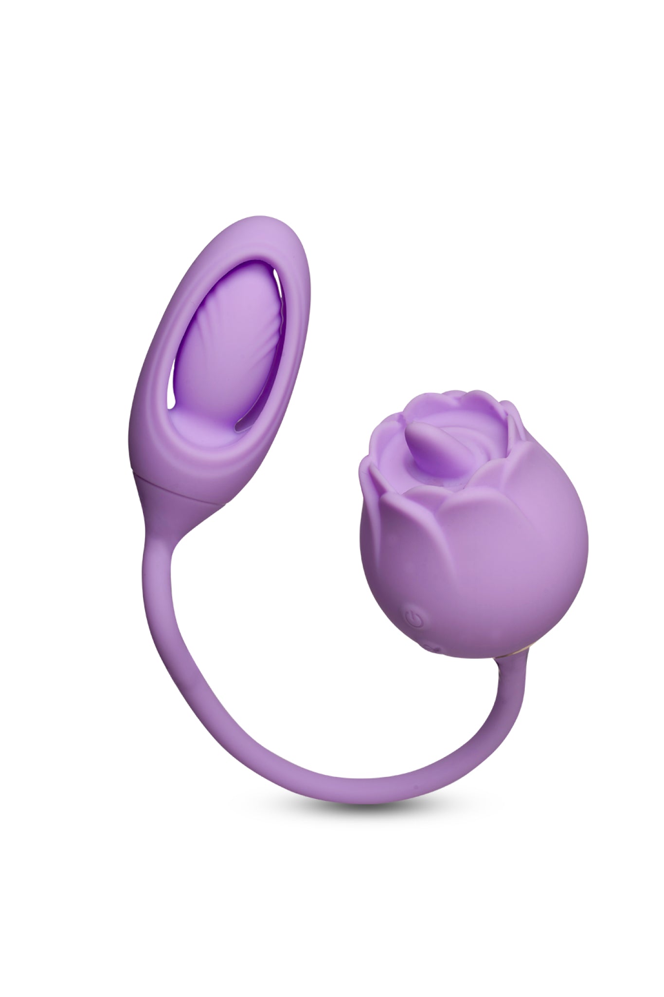 Harmony Curve — main product view